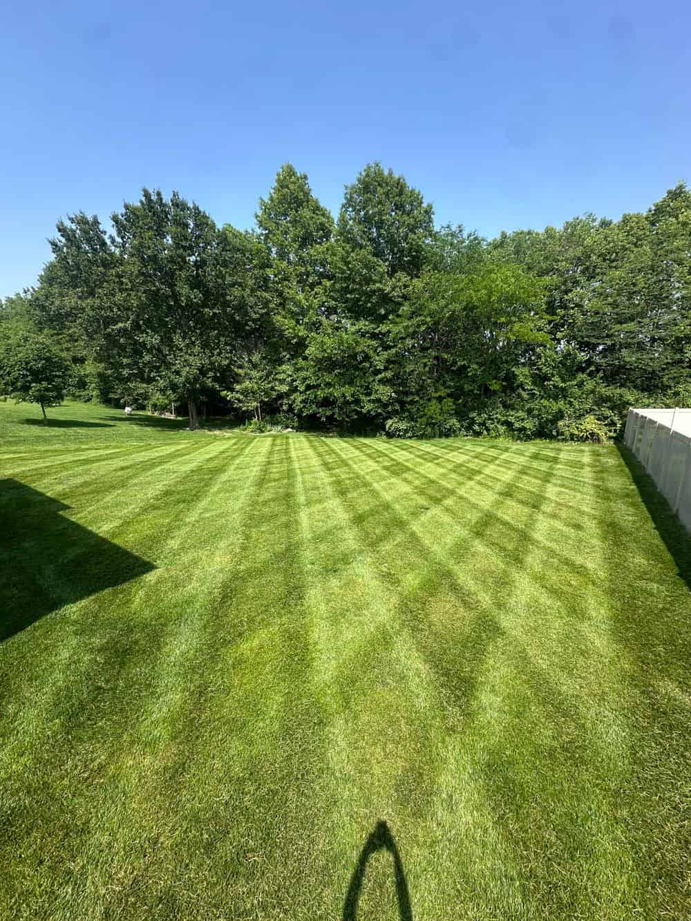 Lawn Mowing image