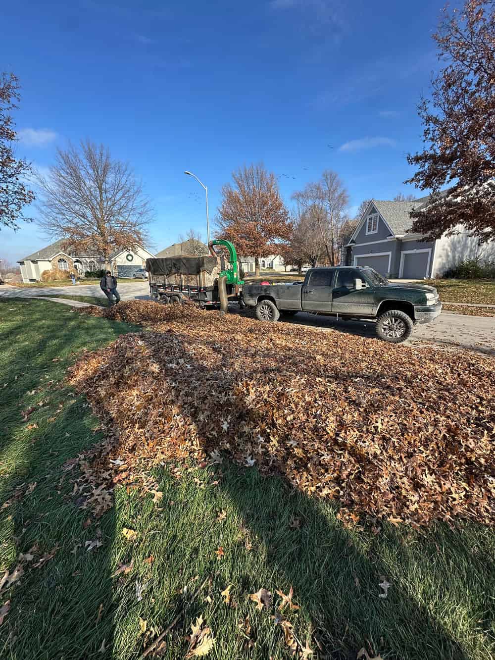 Leaf Removal image