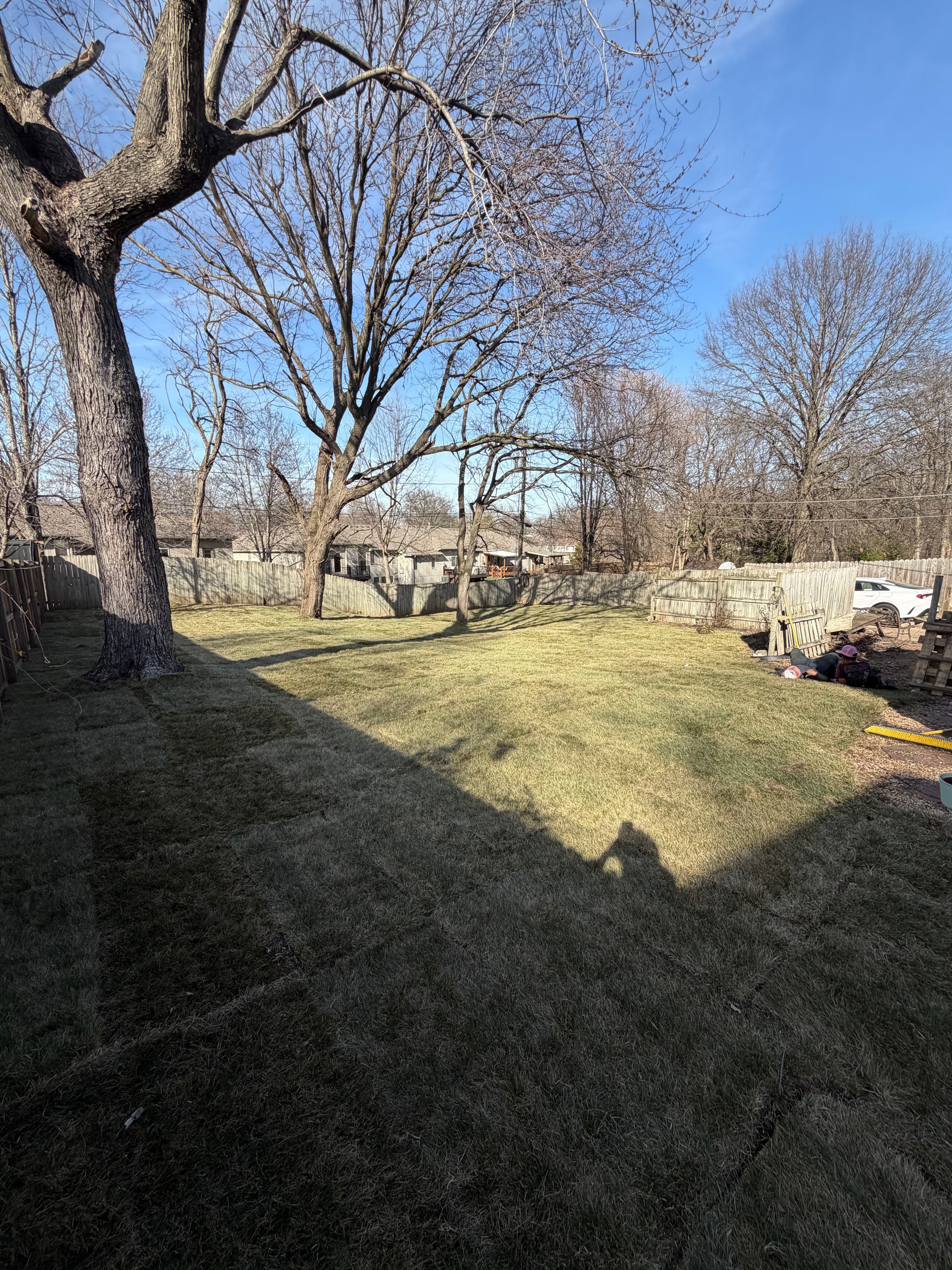 Project Fresh Sod Installation for a Spacious Backyard image