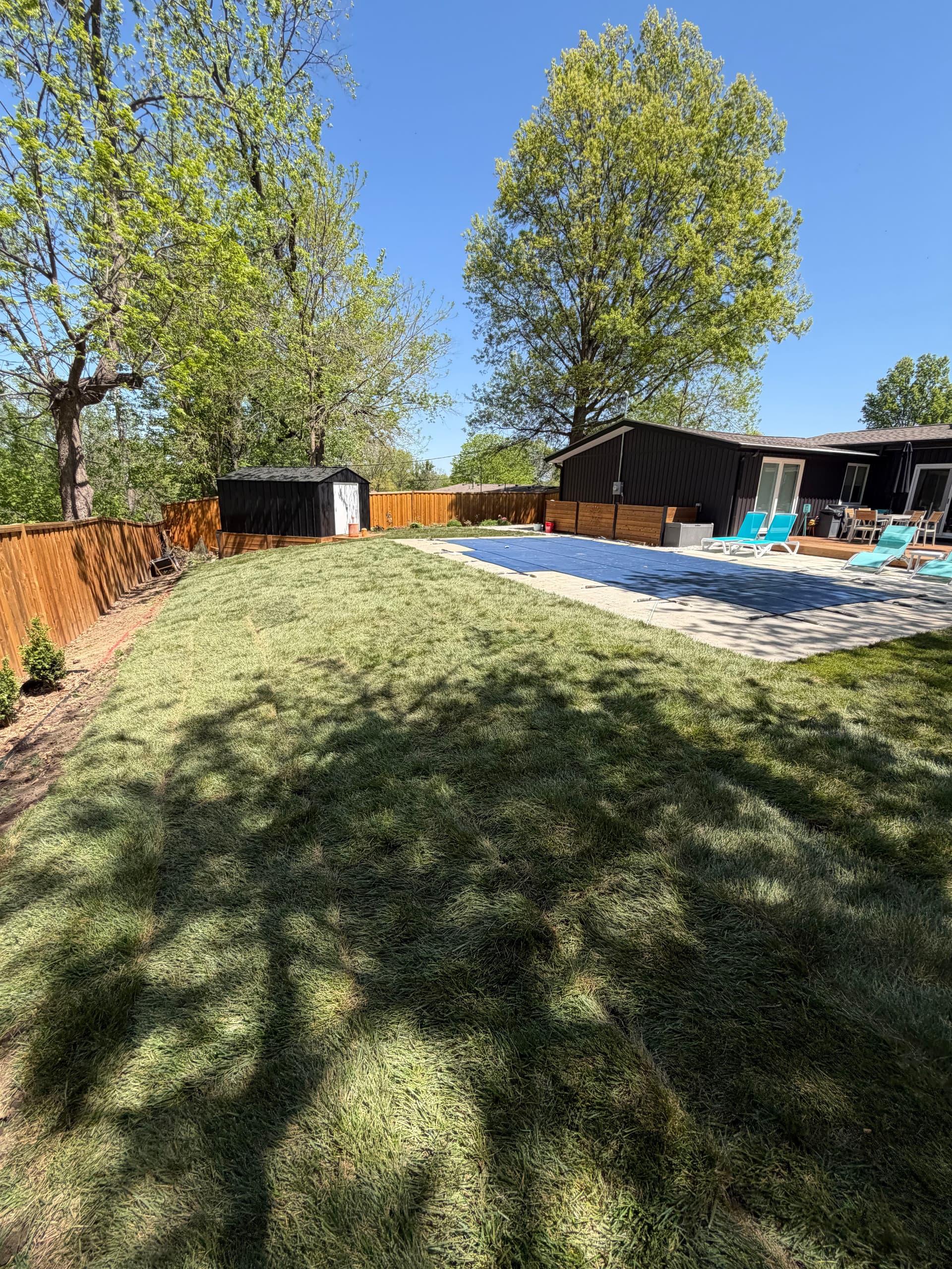 Fresh Start for a Dead-Looking backyard in gladstone image