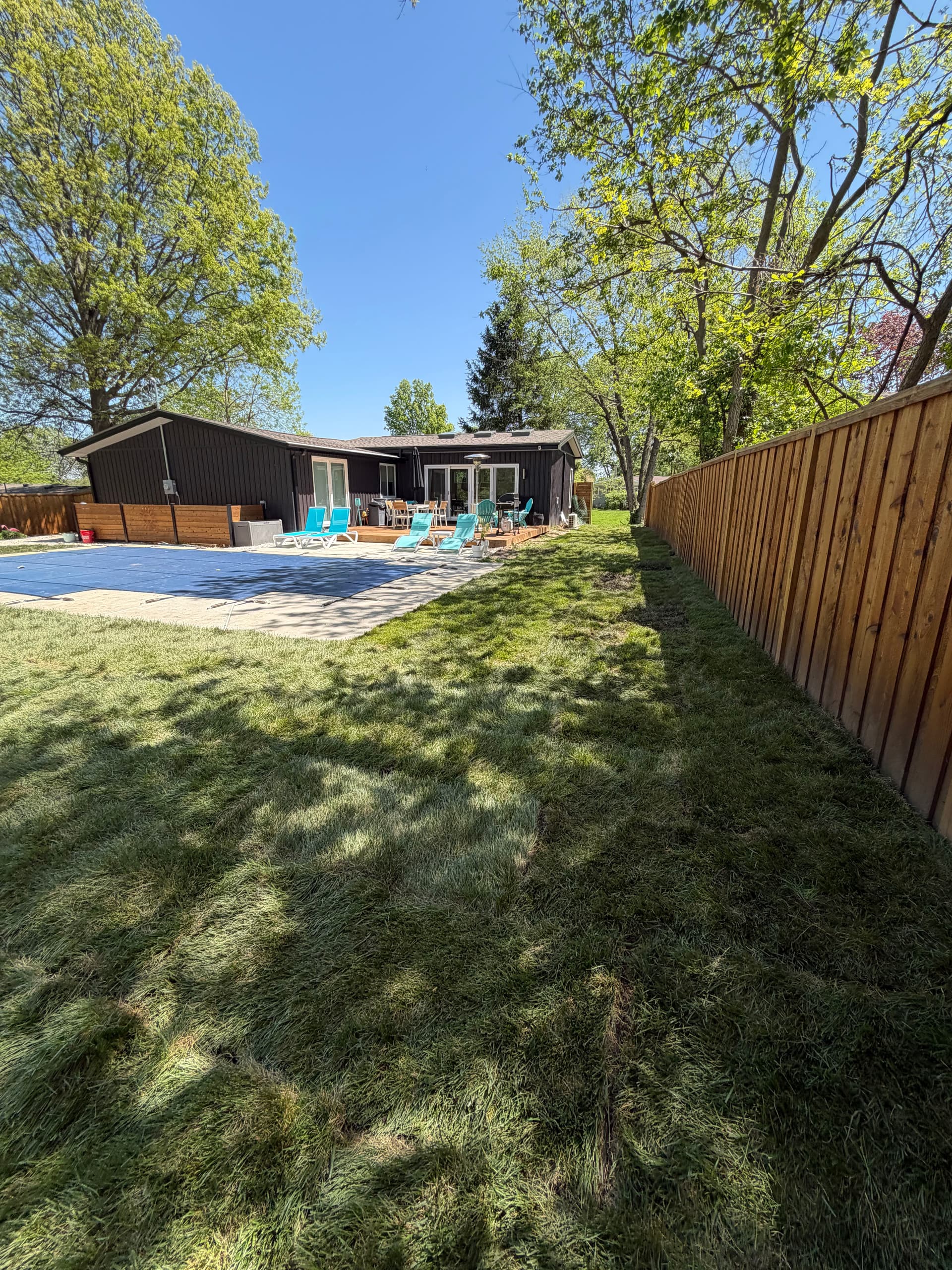 Gallery photos for Fresh Start for a Dead-Looking backyard in gladstone: Image #1