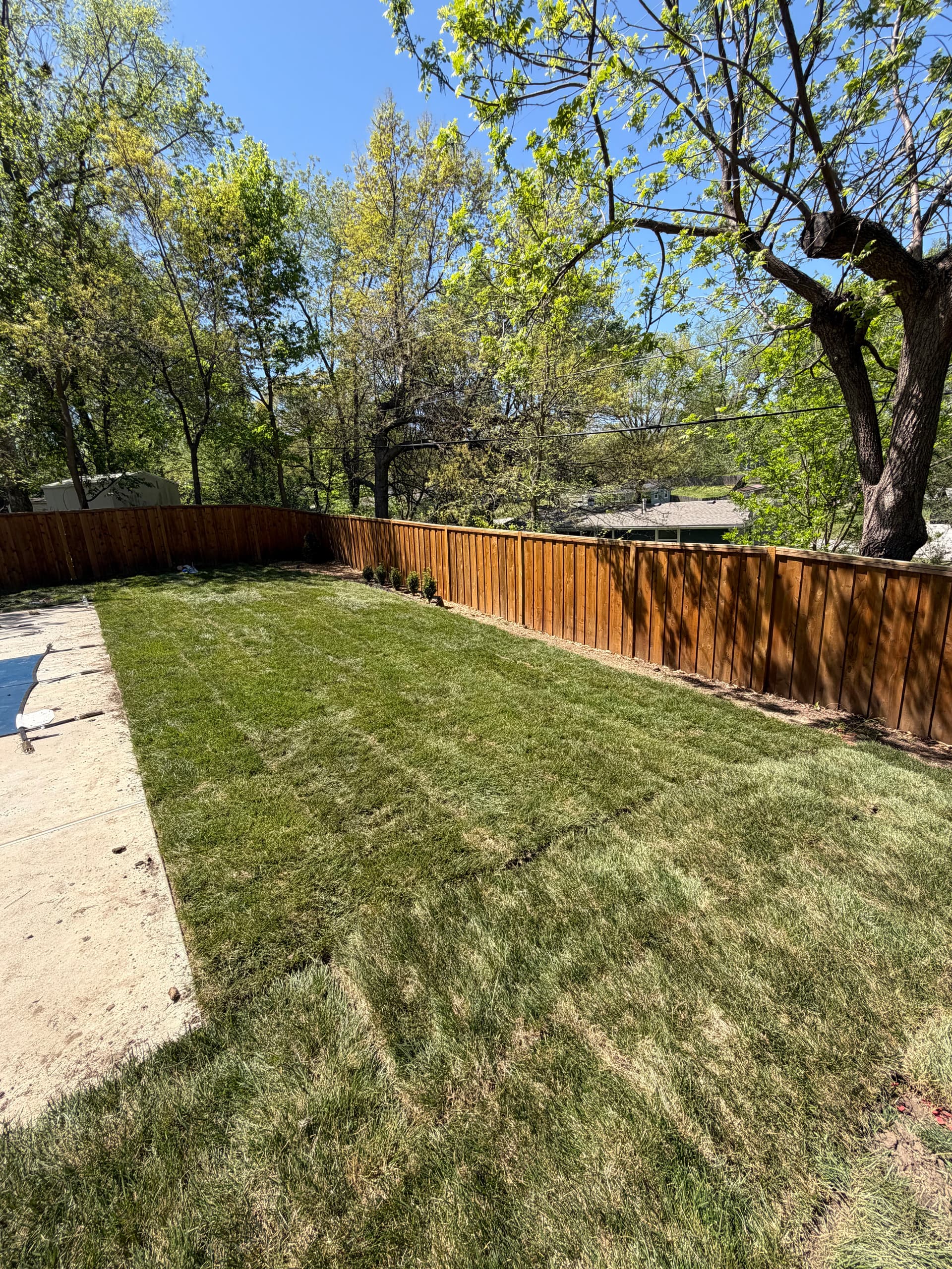 Gallery photos for Fresh Start for a Dead-Looking backyard in gladstone: Image #2