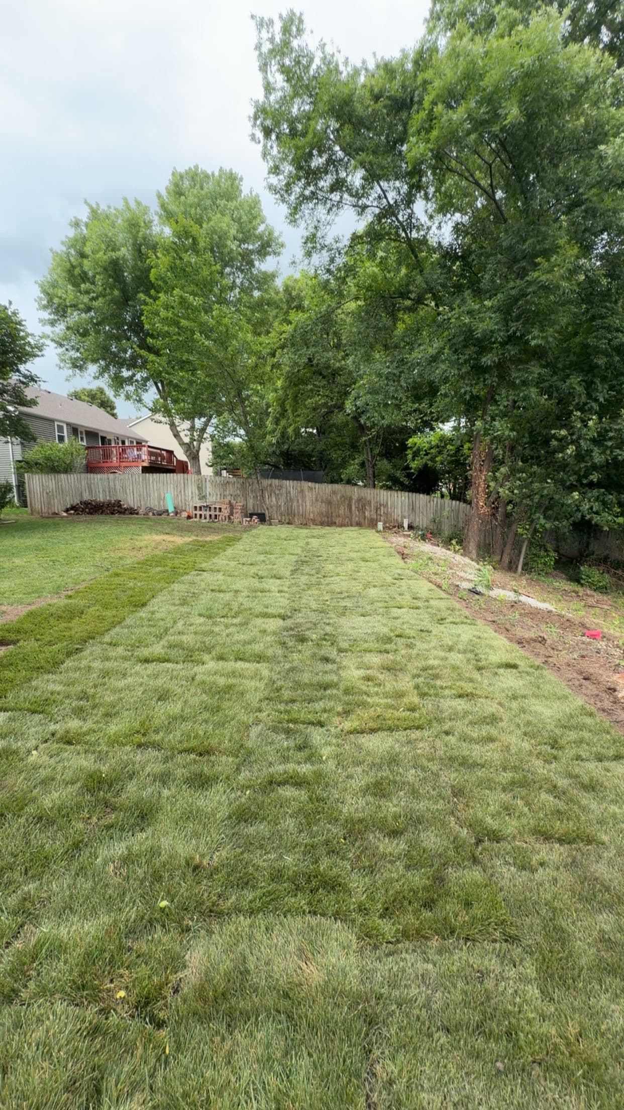 Gallery photos for Gravel Backyard Gets a Full Sod Makeover in Platte City: Image #1