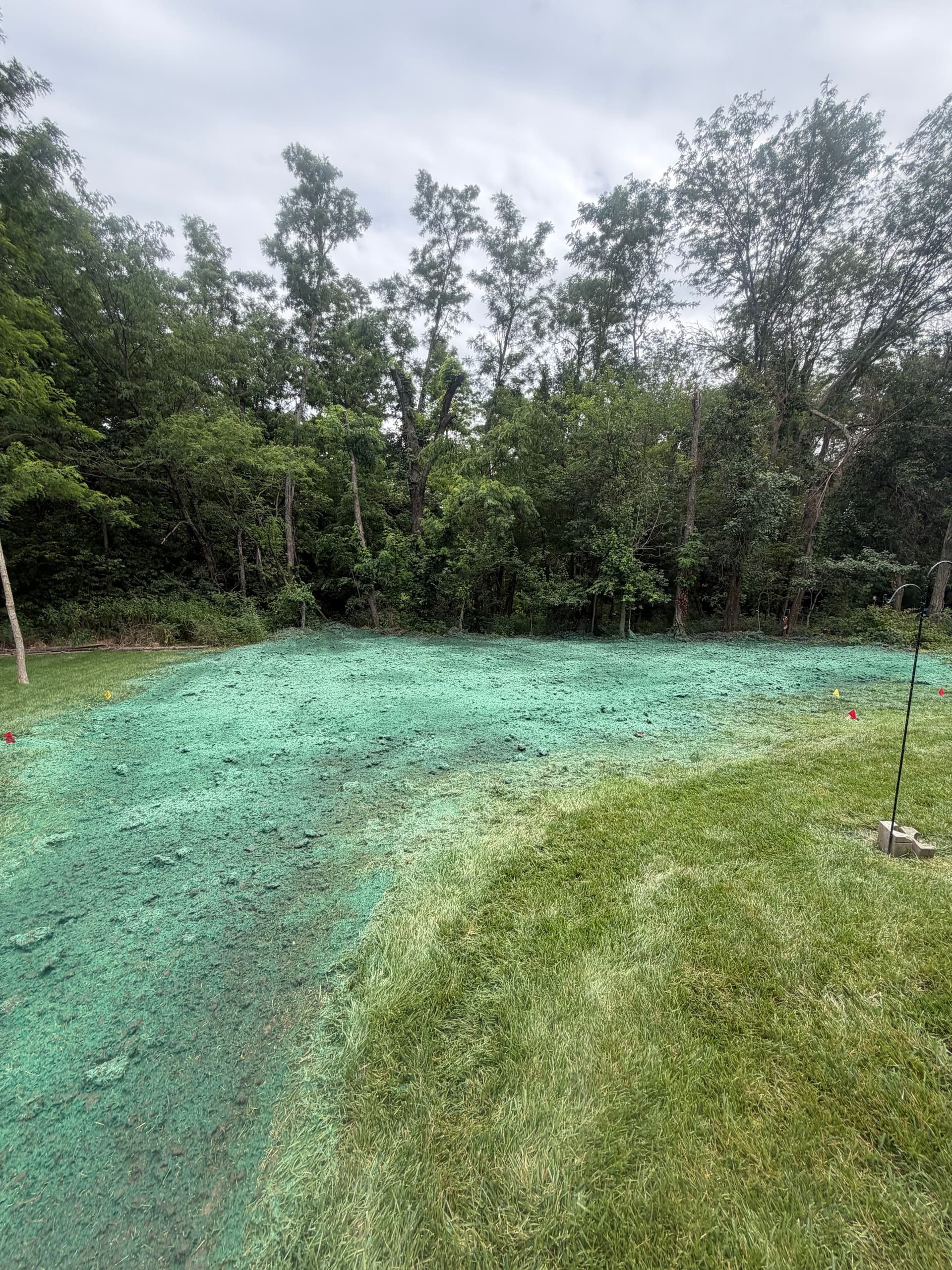 Backyard Hydroseeding Done Right in Smithville image