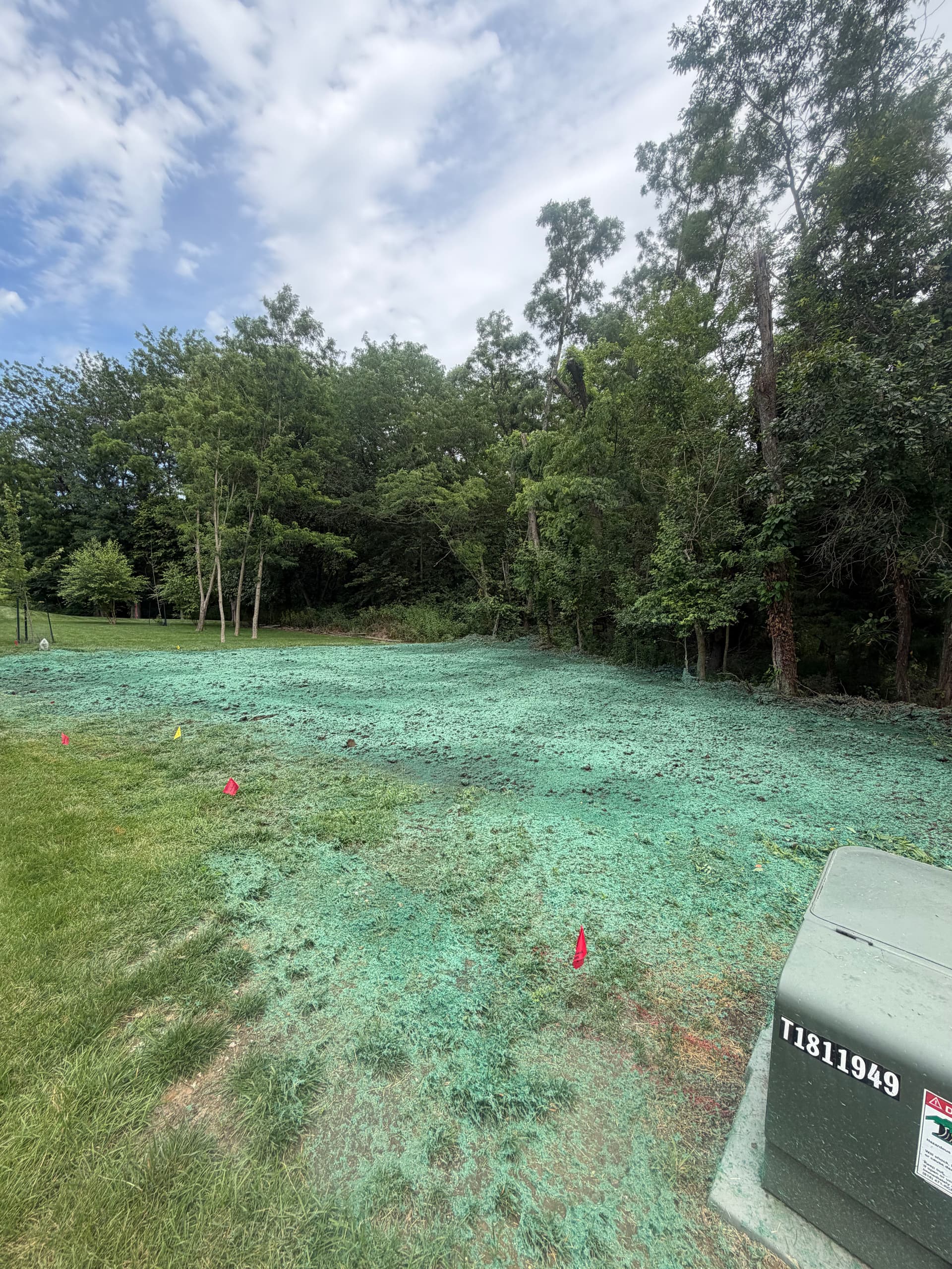 Gallery photos for Backyard Hydroseeding Done Right in Smithville: Image #1