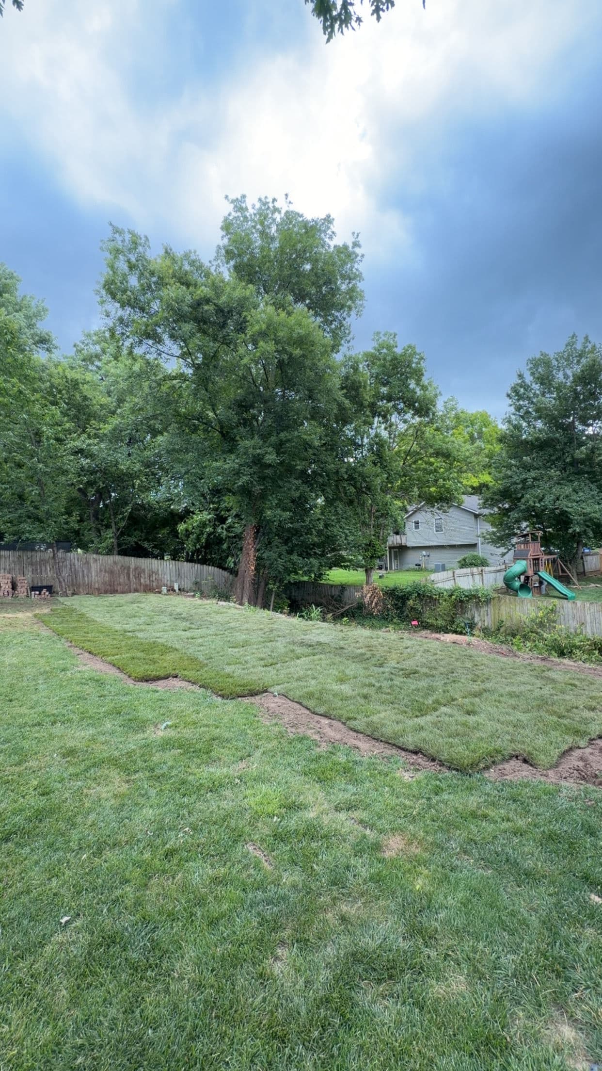 Gravel Backyard Gets a Full Sod Makeover in Platte City image