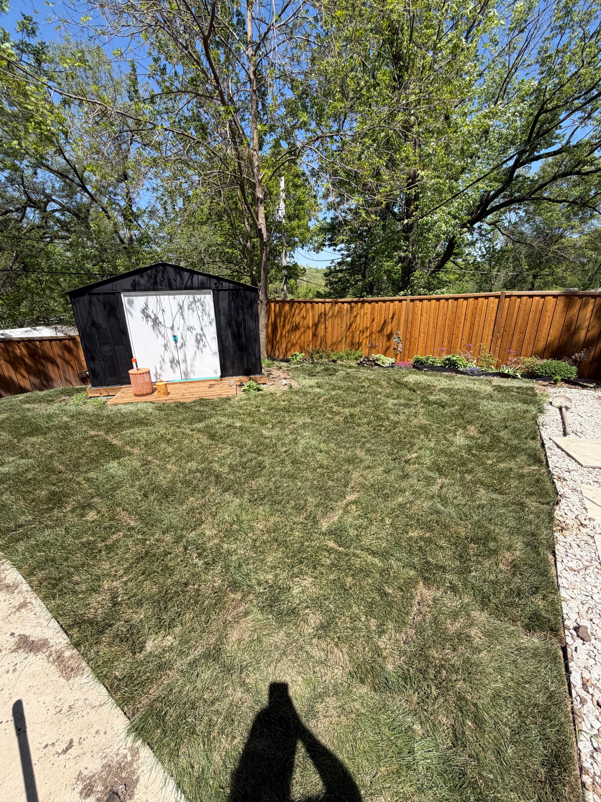 Gallery photos for Fresh Start for a Dead-Looking backyard in gladstone: Image #3