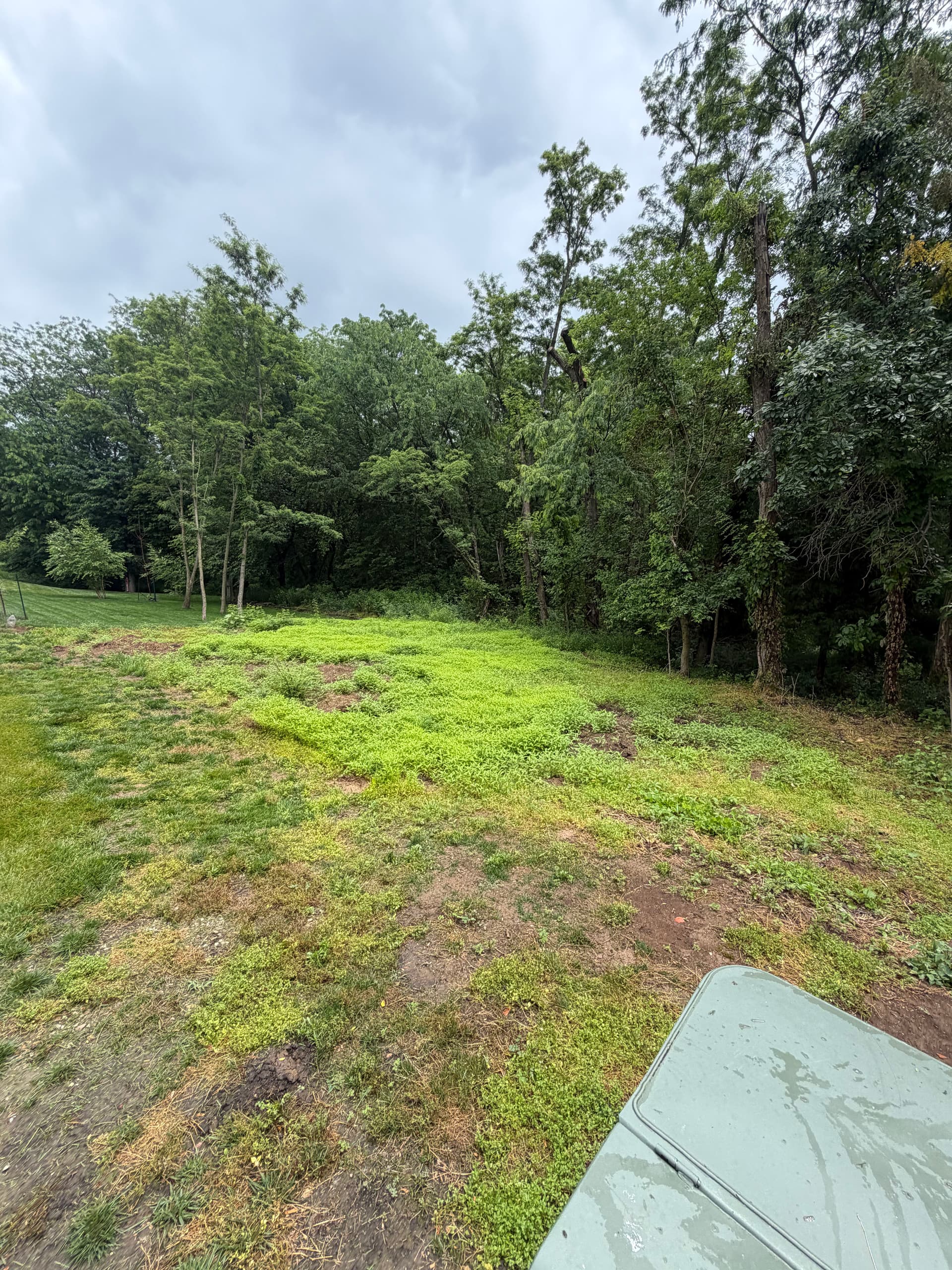 Gallery photos for Backyard Hydroseeding Done Right in Smithville: Image #2