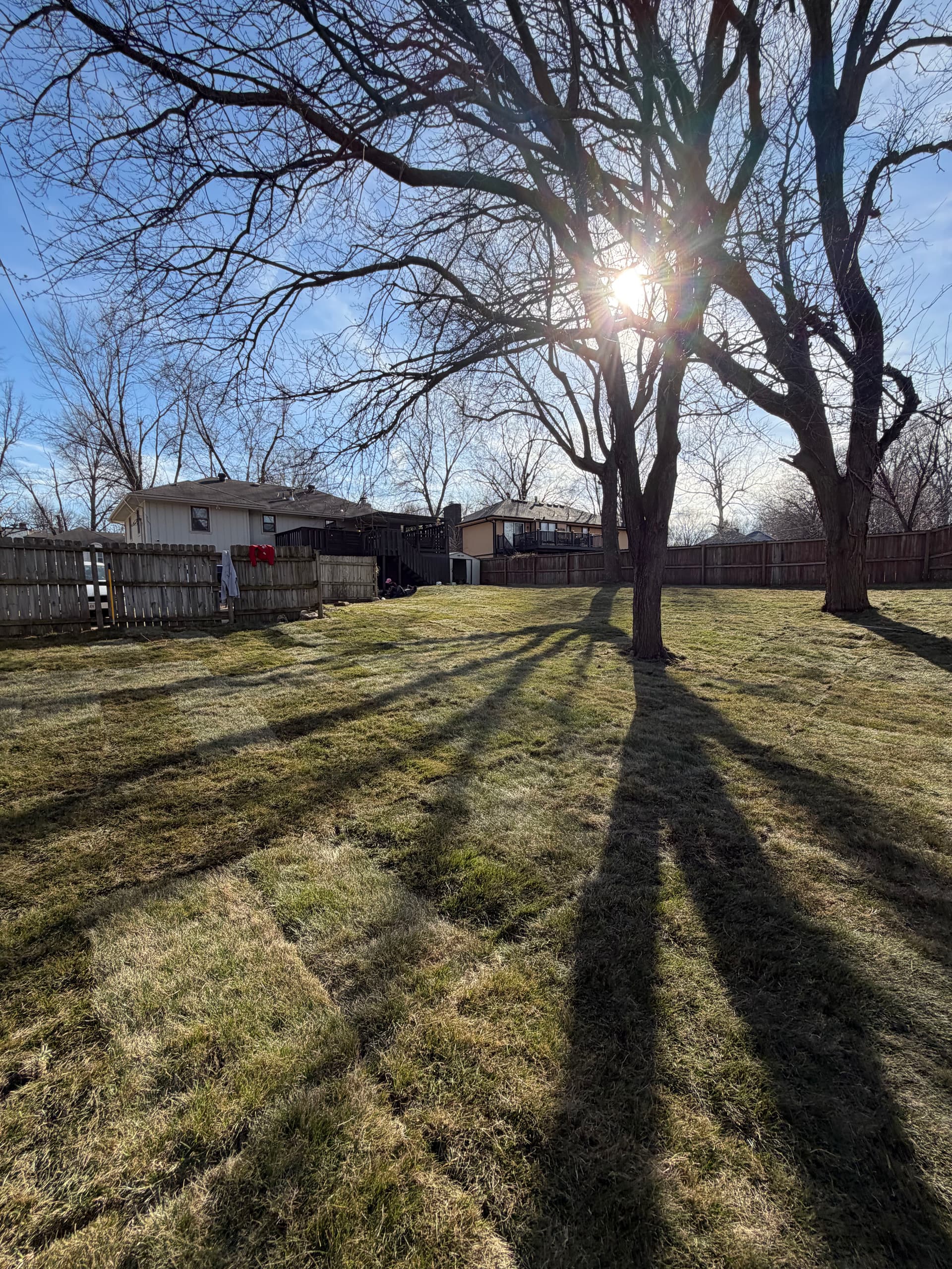 Gallery photos for Fresh Sod Installation for a Spacious Backyard: Image #2