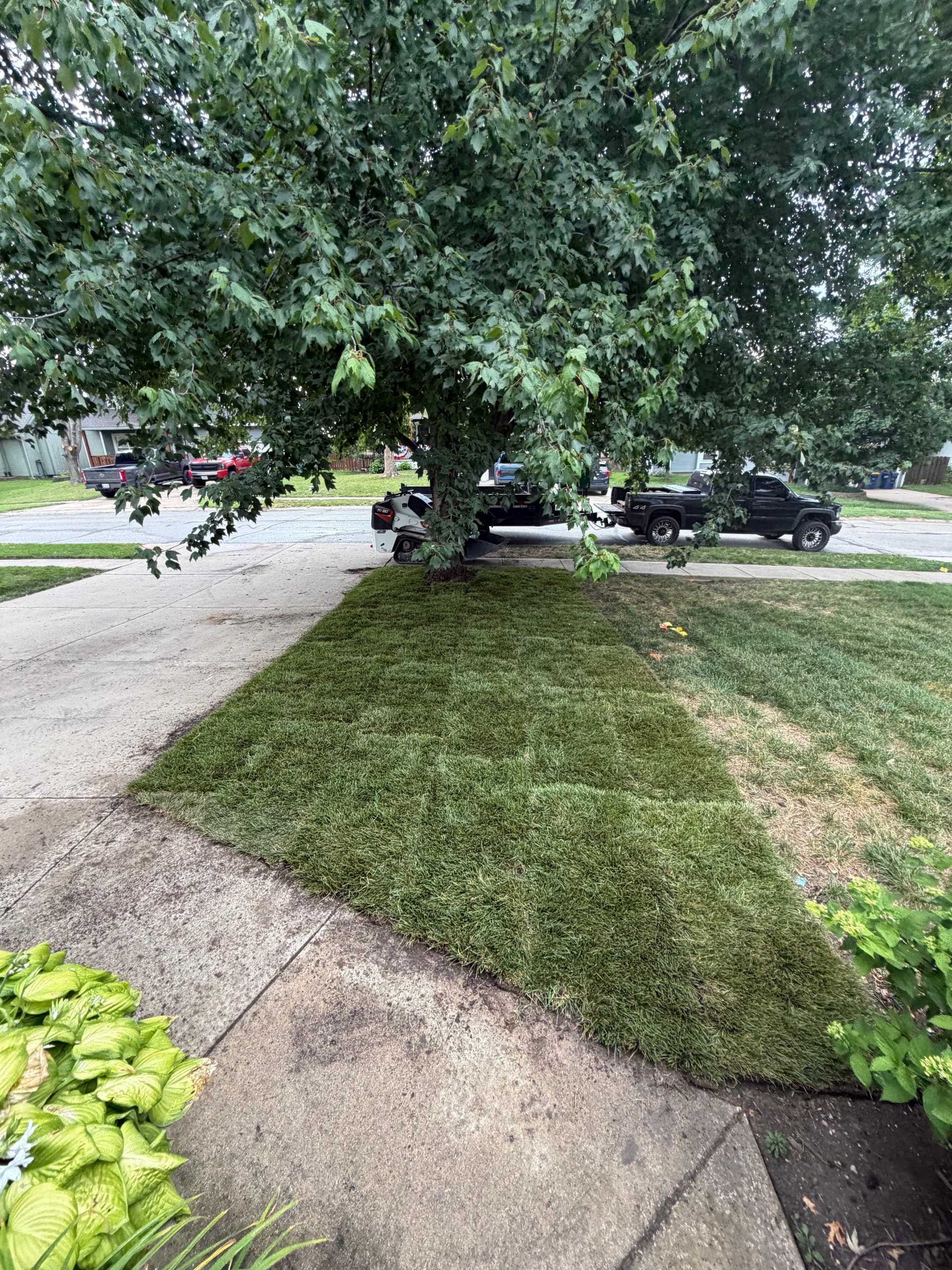 Gallery photos for Full Landscape Renovation Done Right in Smithville Missouri: Image #7