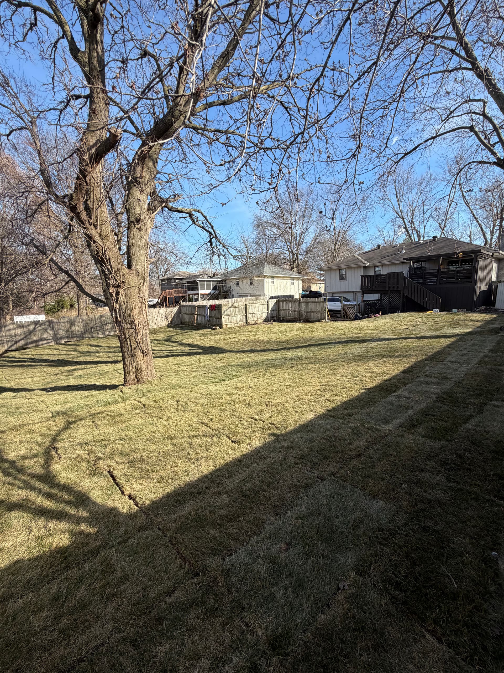 Gallery photos for Fresh Sod Installation for a Spacious Backyard: Image #1